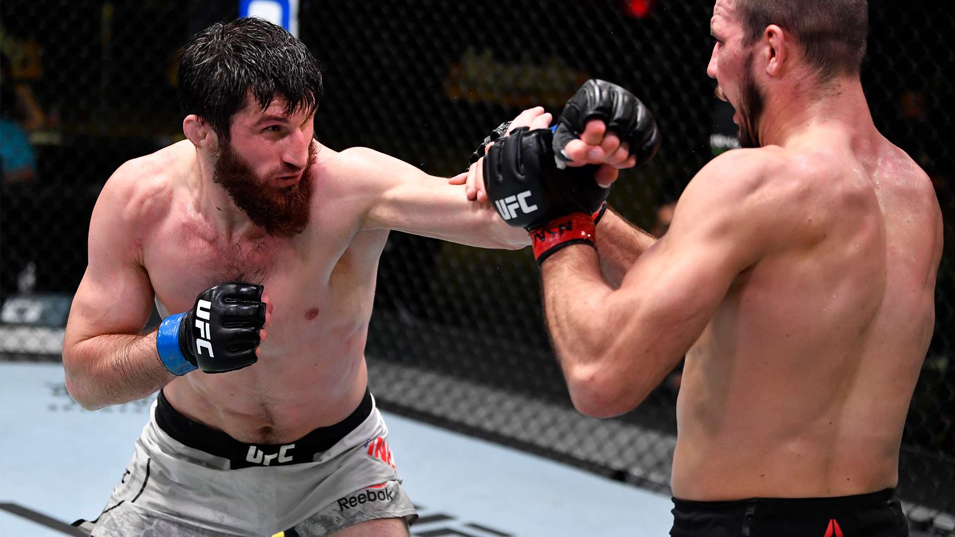 阿森納的薩 阿森納的薩